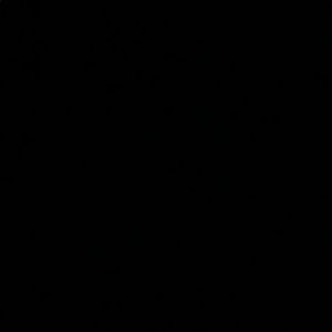 Meet your Posher, Landrie